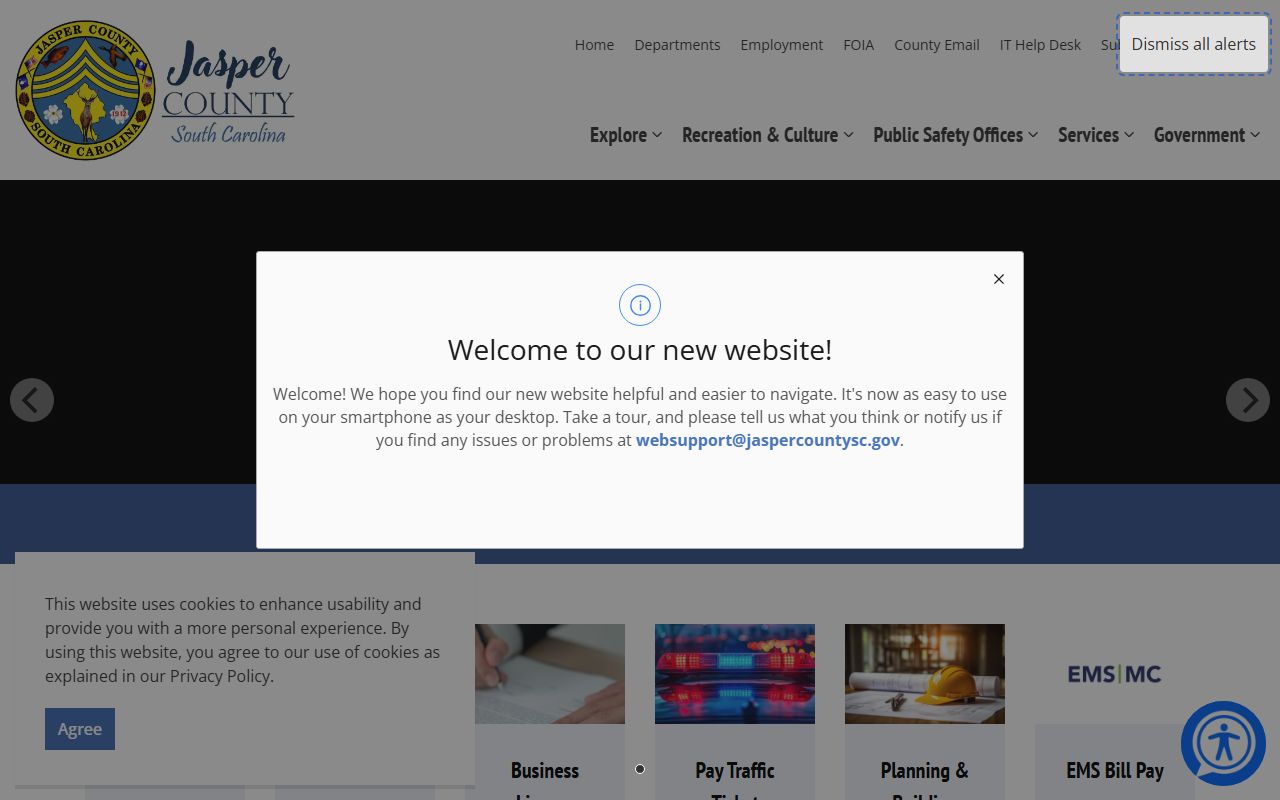Jasper County portal showing divorce records and court services